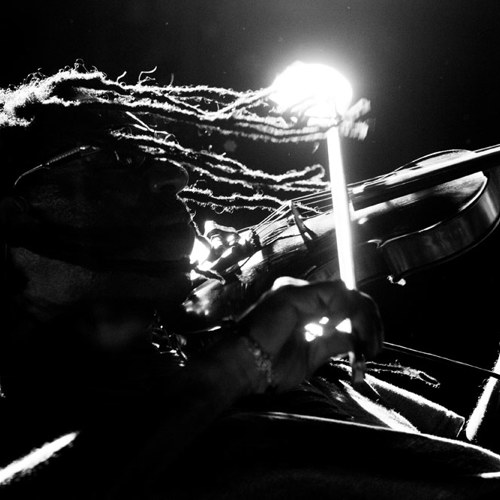 Tampa, FL  7-18-2012 thumbnail